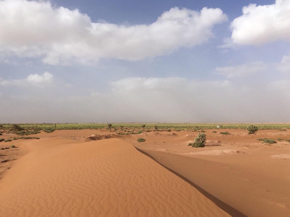 Camp Desert Stars M'Hamid Exterior foto
